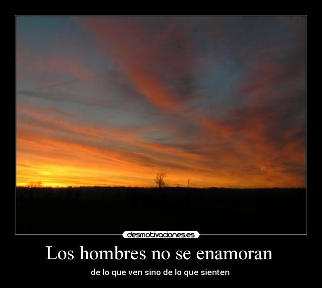 Los hombres no se enamoran -