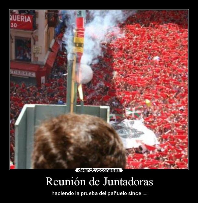 carteles juntadoras gitana desmotivaciones