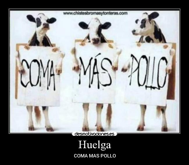 Huelga - COMA MAS POLLO