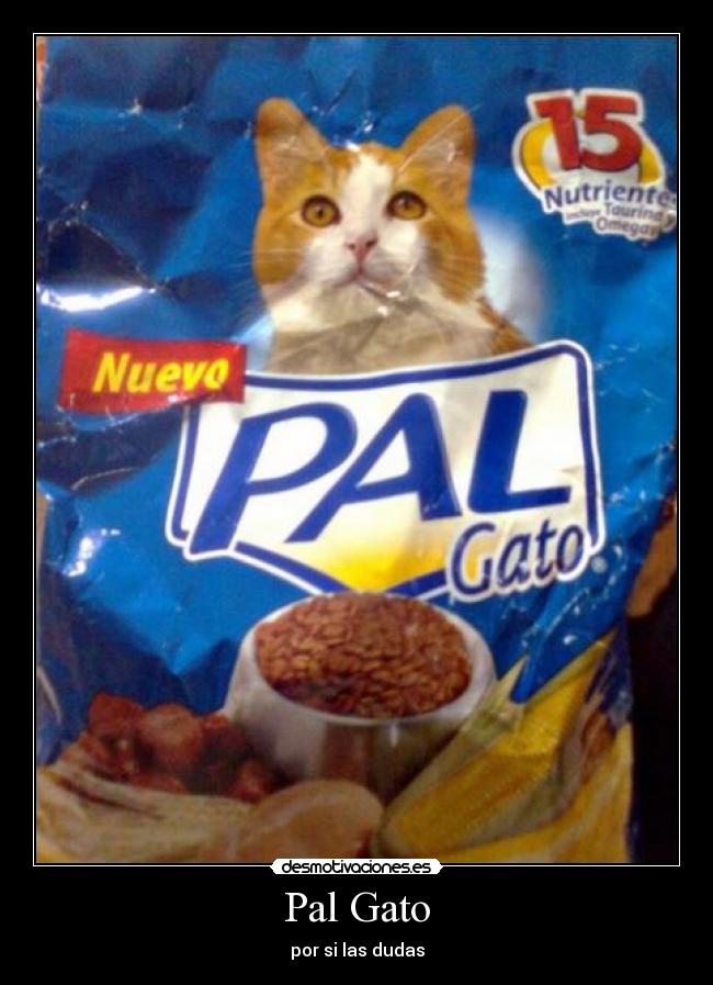 Pal Gato -
