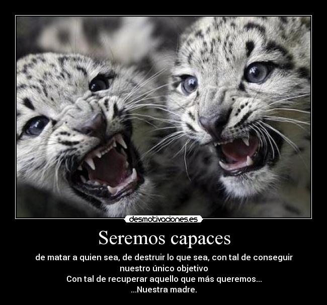 Seremos capaces -