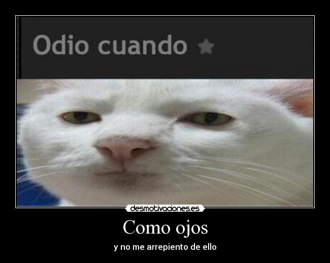 Como ojos - y no me arrepiento de ello