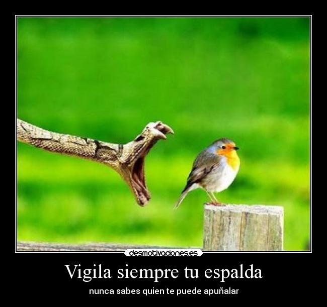 Vigila siempre tu espalda - nunca sabes quien te puede apuñalar