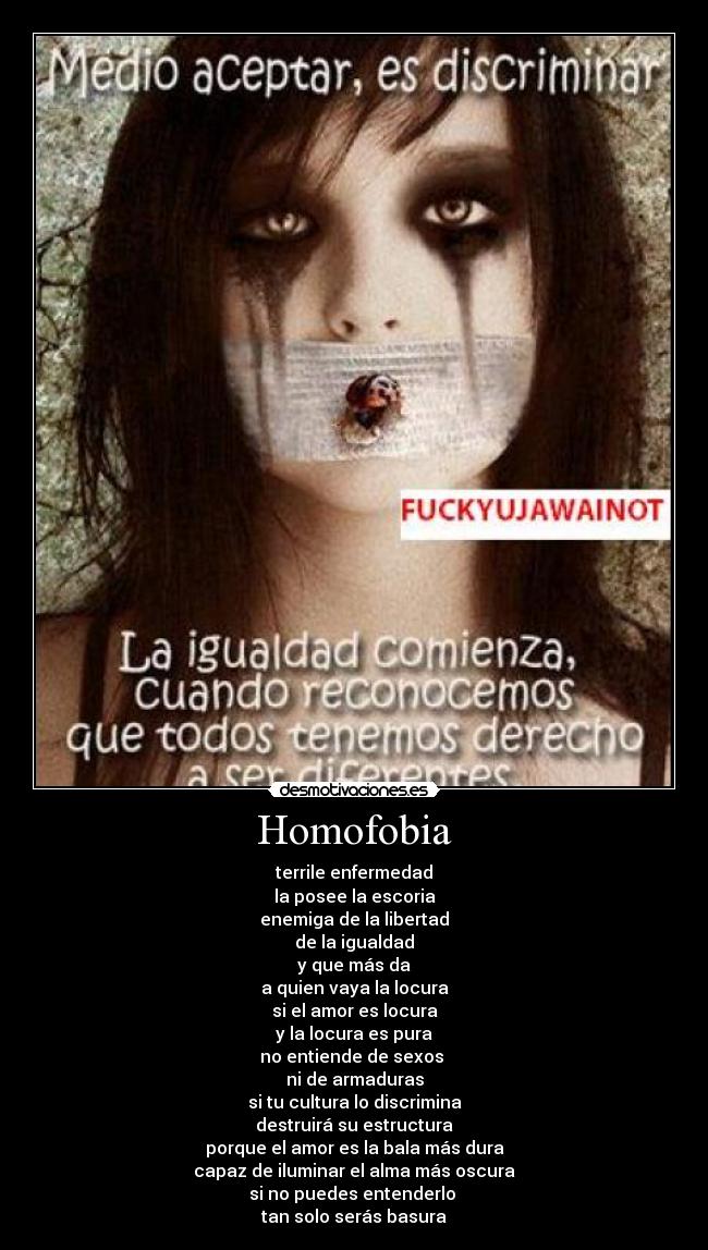 Homofobia - 