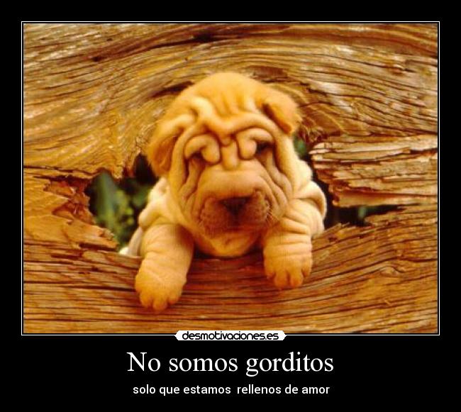 No somos gorditos -