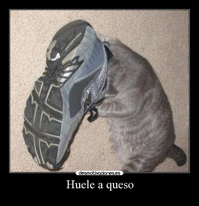 Huele a queso -