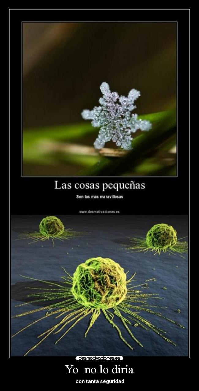 Yo  no lo diría - con tanta seguridad