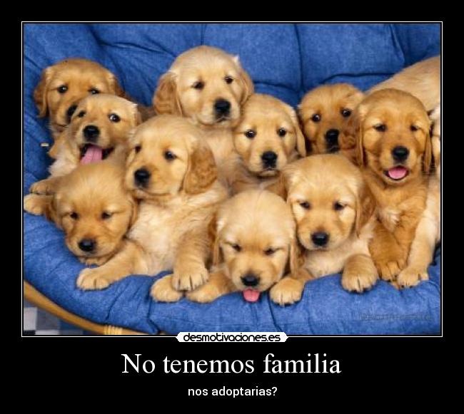 No tenemos familia - nos adoptarias?