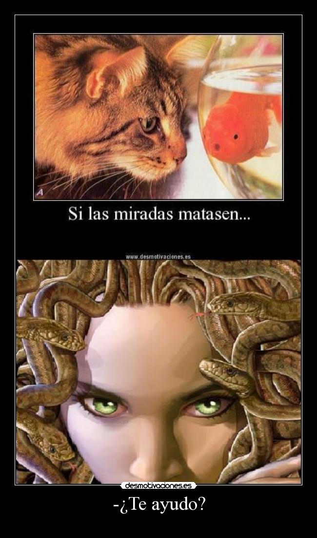 -¿Te ayudo? -