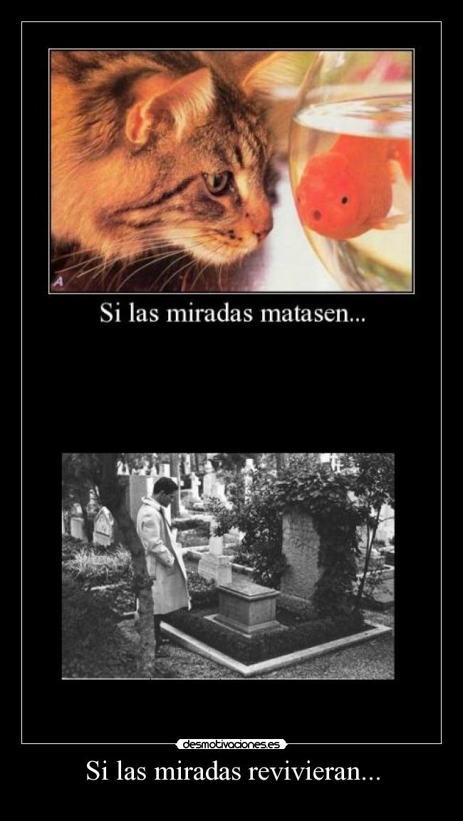 Si las miradas revivieran... -