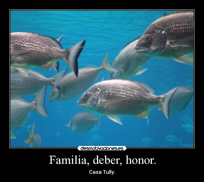 Familia, deber, honor. -