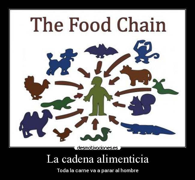 La cadena alimenticia - Toda la carne va a parar al hombre