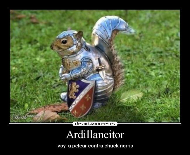 Ardillaneitor - voy a pelear contra chuck norris