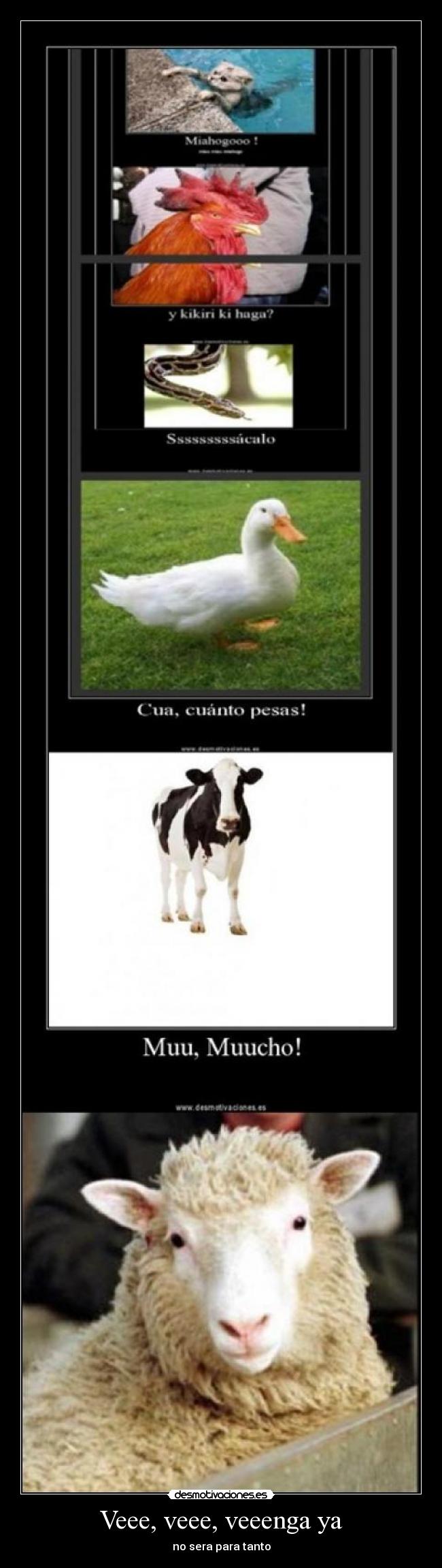 carteles veee muuu kiki cua miahogooo desmotivaciones