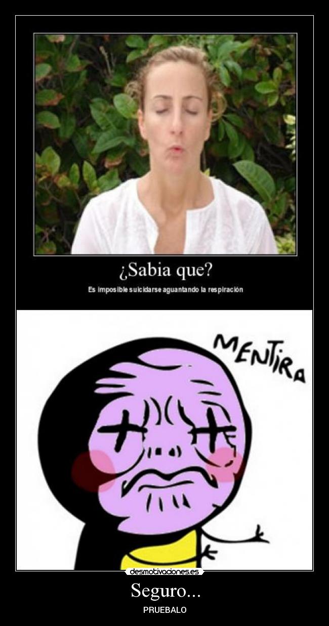 Seguro... - PRUEBALO