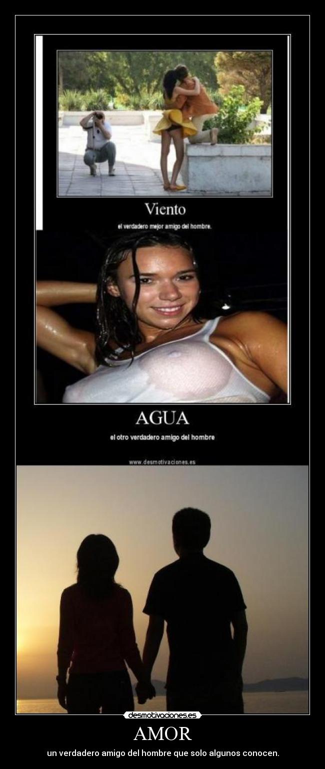 AMOR - un verdadero amigo del hombre que solo algunos conocen.