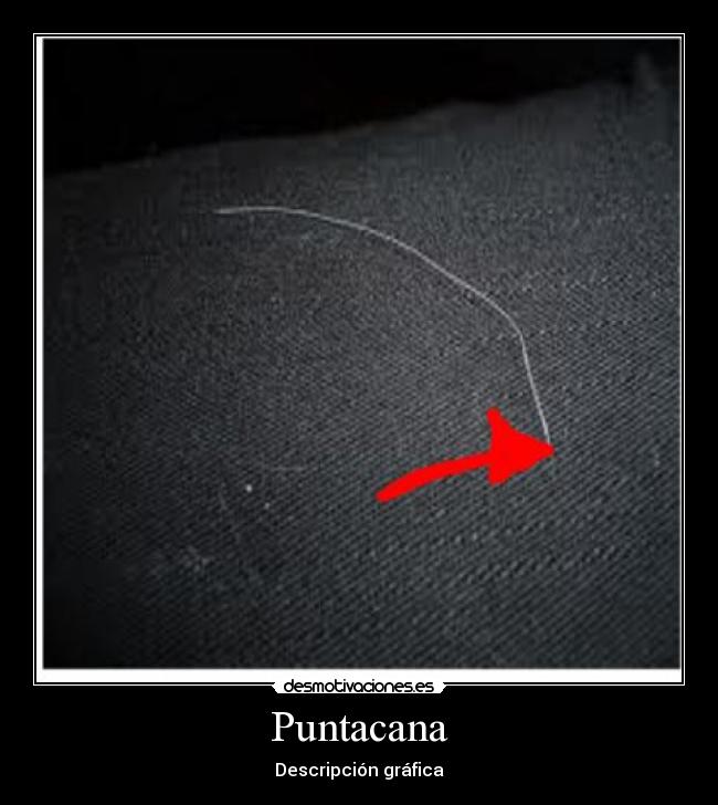 Puntacana - Descripción gráfica