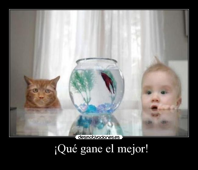  ¡Qué gane el mejor! - 
