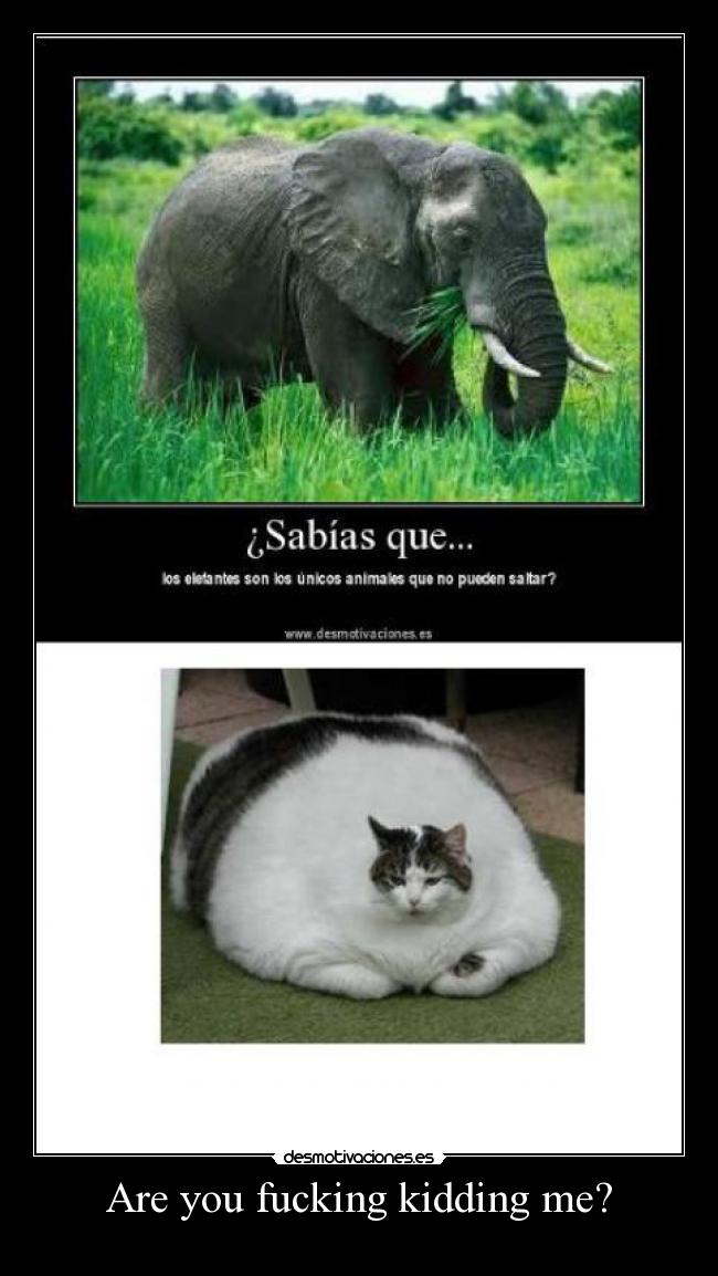 Are you fucking kidding me? - 