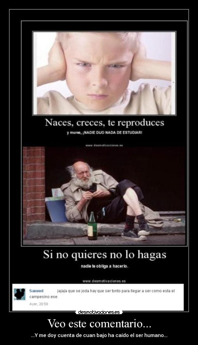 Veo este comentario... - 