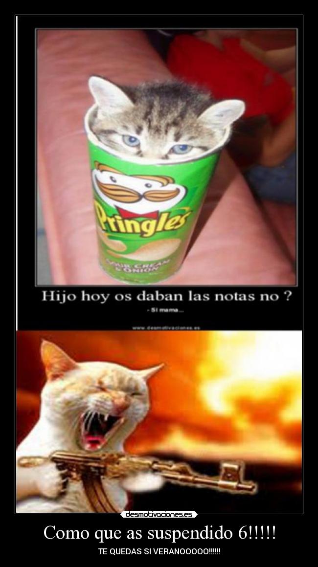 Como que as suspendido 6!!!!! - 