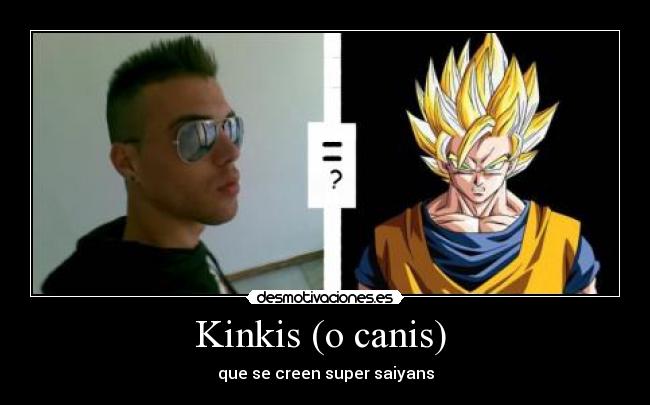 Kinkis (o canis) - que se creen super saiyans