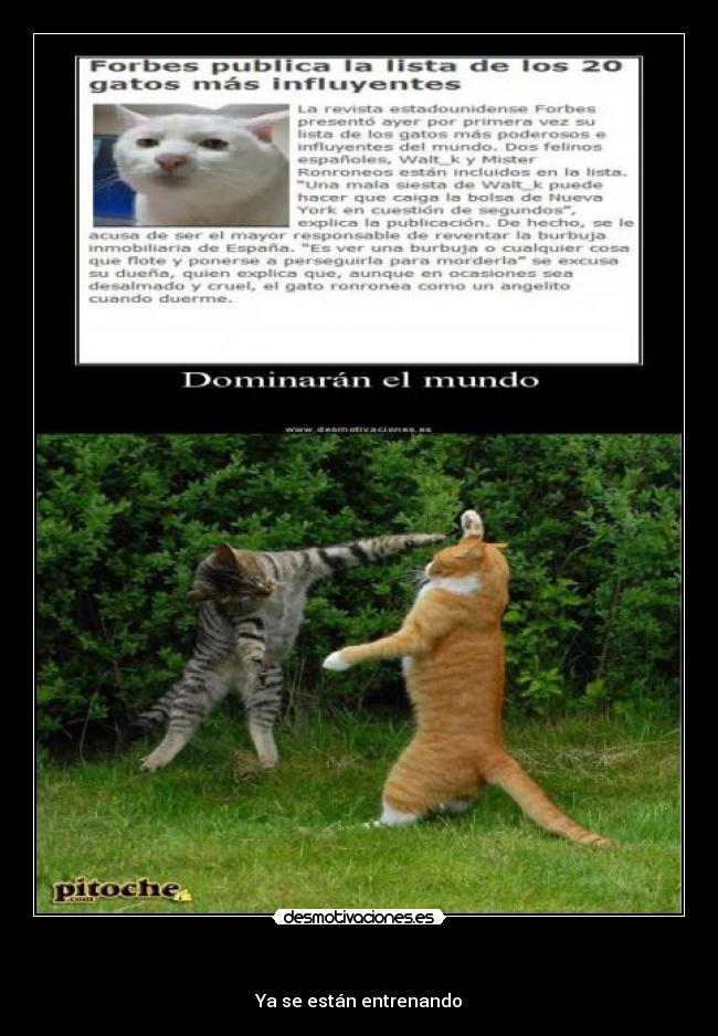         - Ya se están entrenando