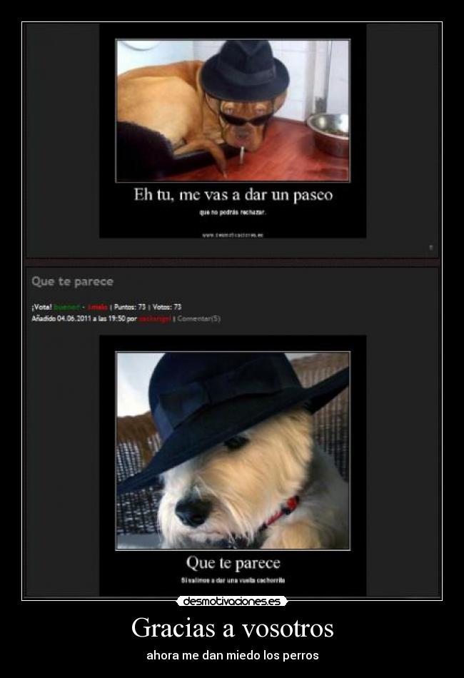 Gracias a vosotros - ahora me dan miedo los perros