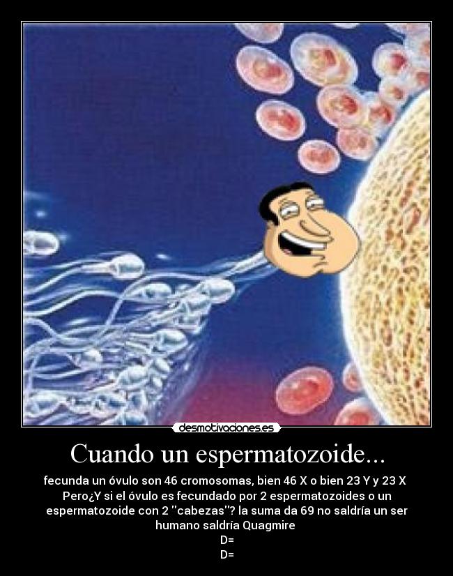 Cuando un espermatozoide... -
