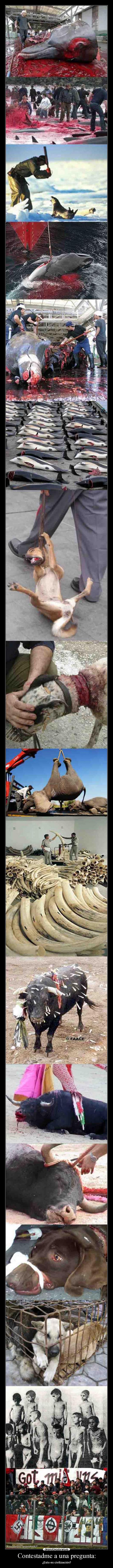 carteles sergiotime desmotivaciones