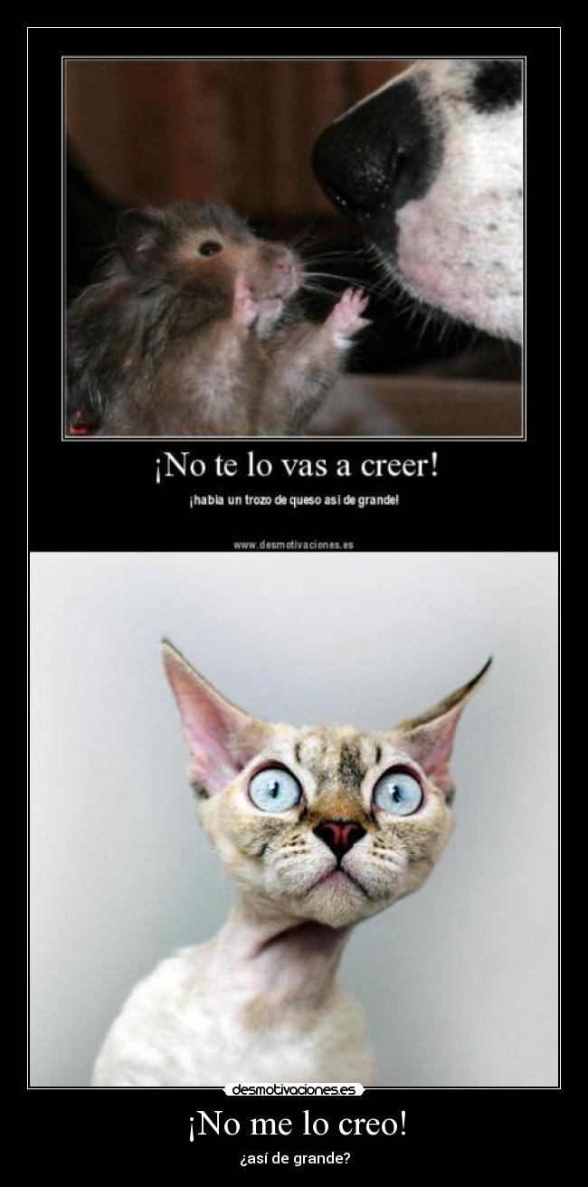 ¡No me lo creo! -