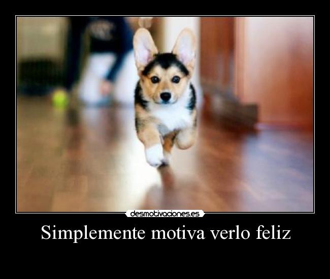 Simplemente motiva verlo feliz - 