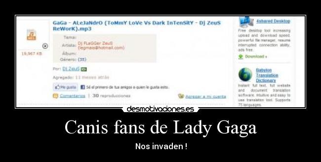 Canis fans de Lady Gaga - Nos invaden !