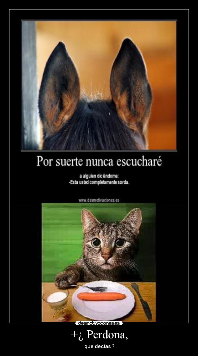 +¿ Perdona, -