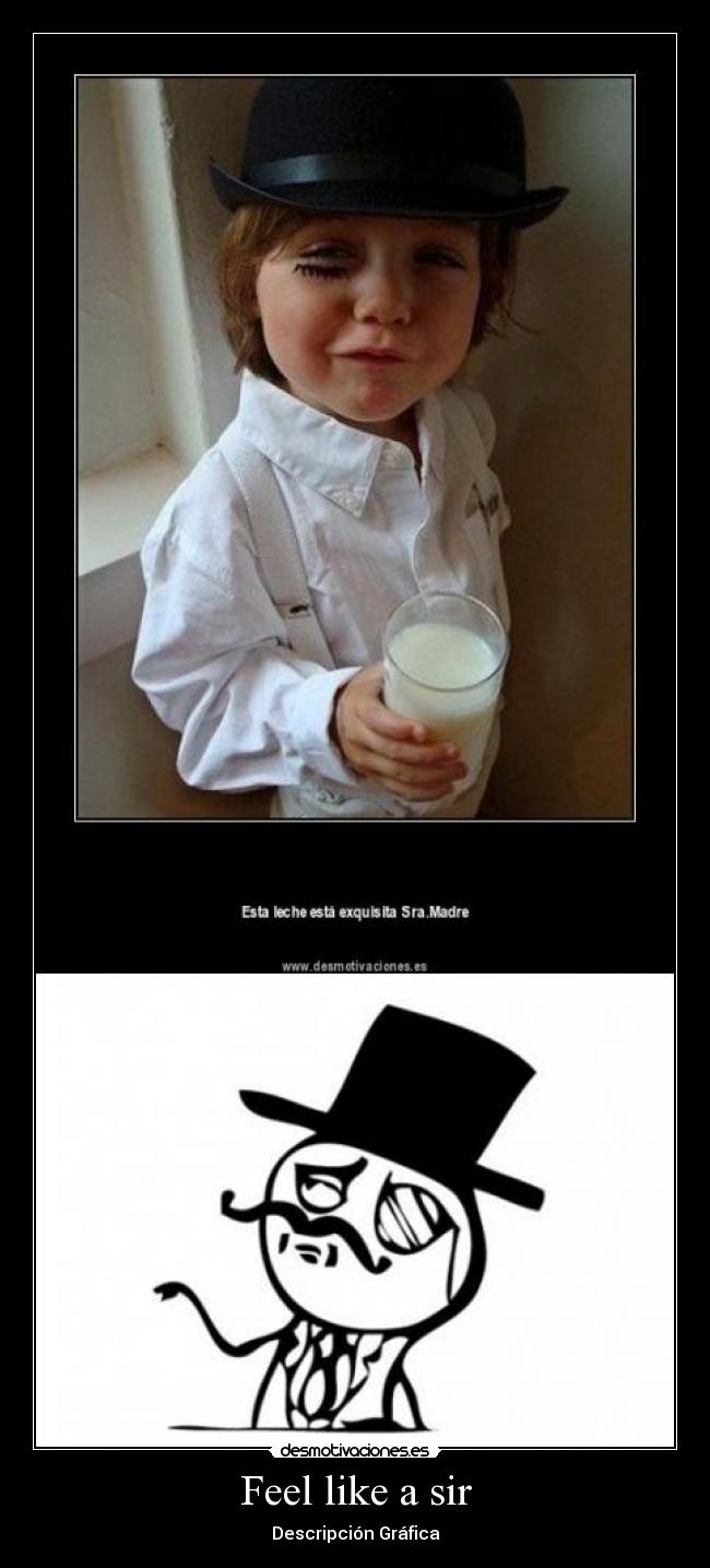 Feel like a sir - Descripción Gráfica