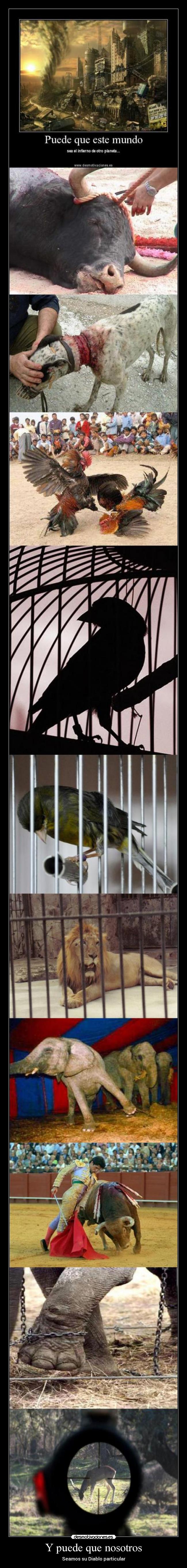 Y puede que nosotros - Seamos su Diablo particular