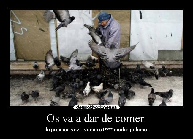 Os va a dar de comer - la próxima vez... vuestra P*** madre paloma.