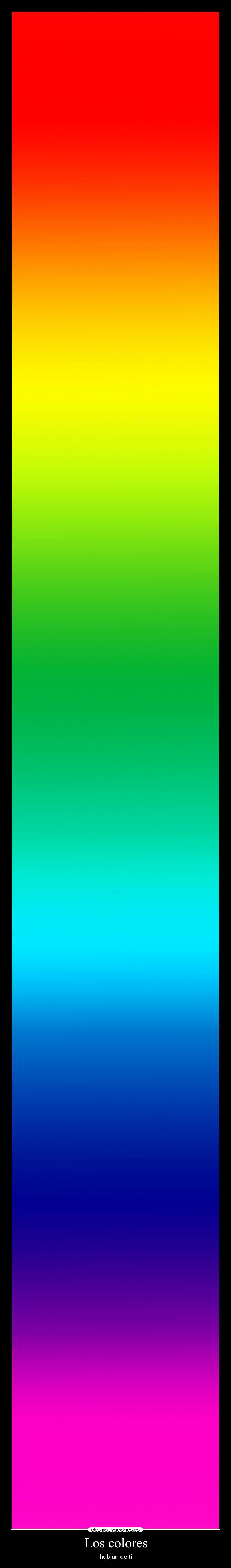 Los colores - 