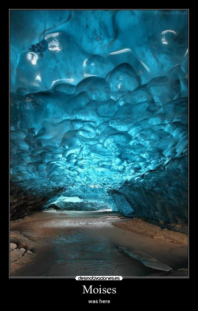 Moises - 