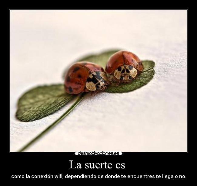carteles wifi suerte desmotivaciones