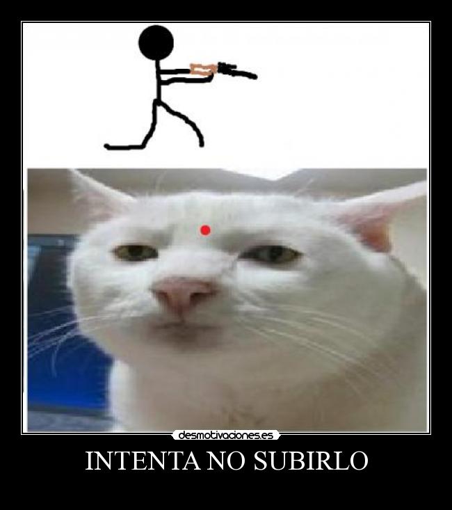 INTENTA NO SUBIRLO -