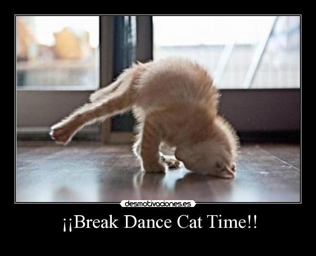 ¡¡Break Dance Cat Time!! -