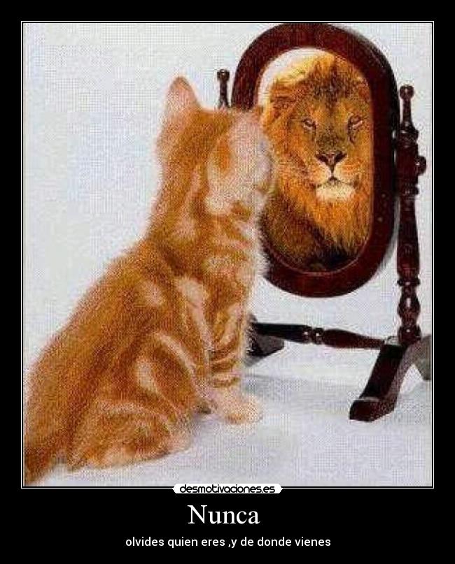 Nunca - olvides quien eres ,y de donde vienes