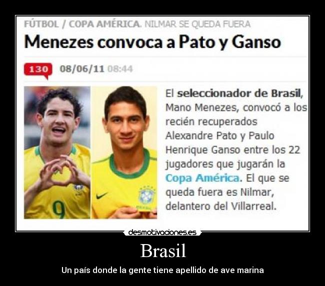 Brasil - Un país donde la gente tiene apellido de ave marina