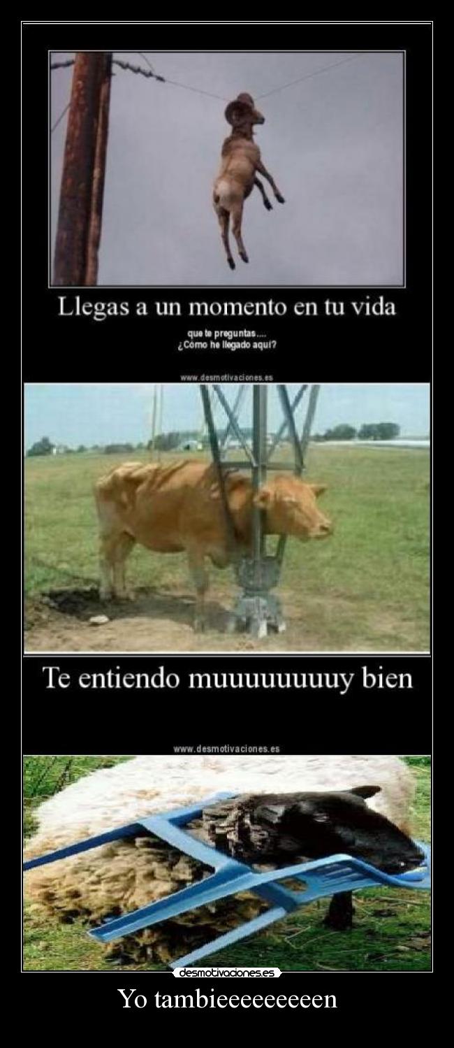 Yo tambieeeeeeeeen -