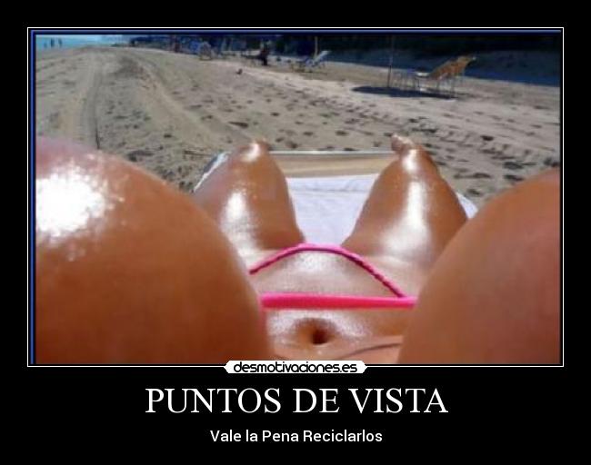 PUNTOS DE VISTA -