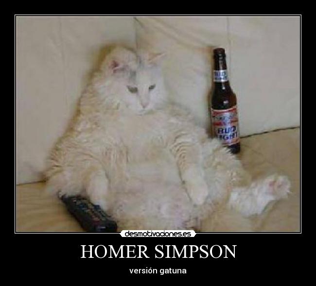 HOMER SIMPSON - versión gatuna