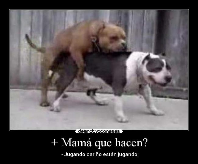 + Mamá que hacen? - 