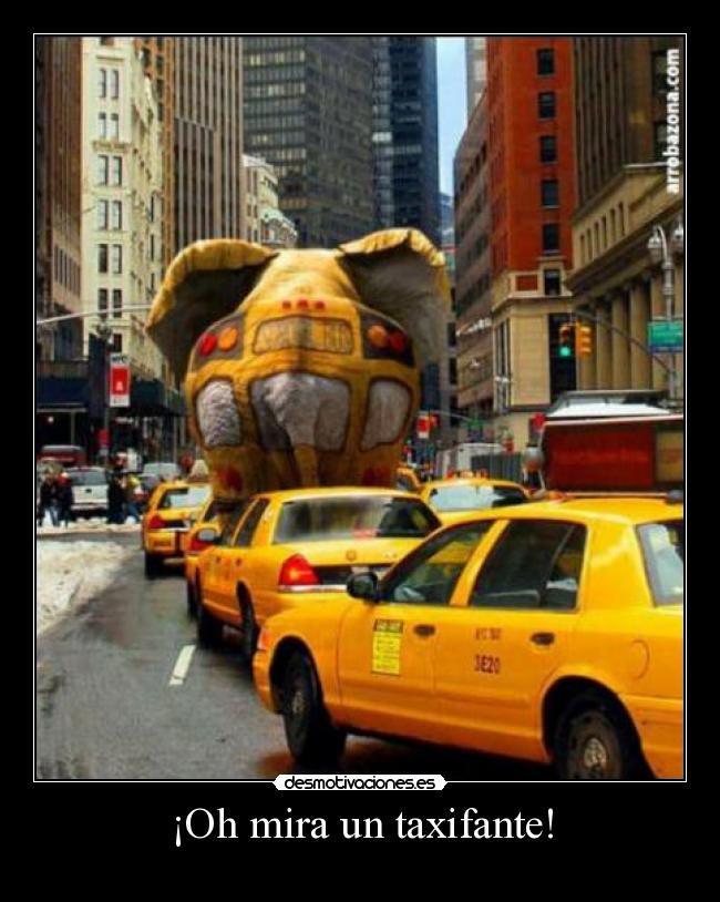 ¡Oh mira un taxifante! - 