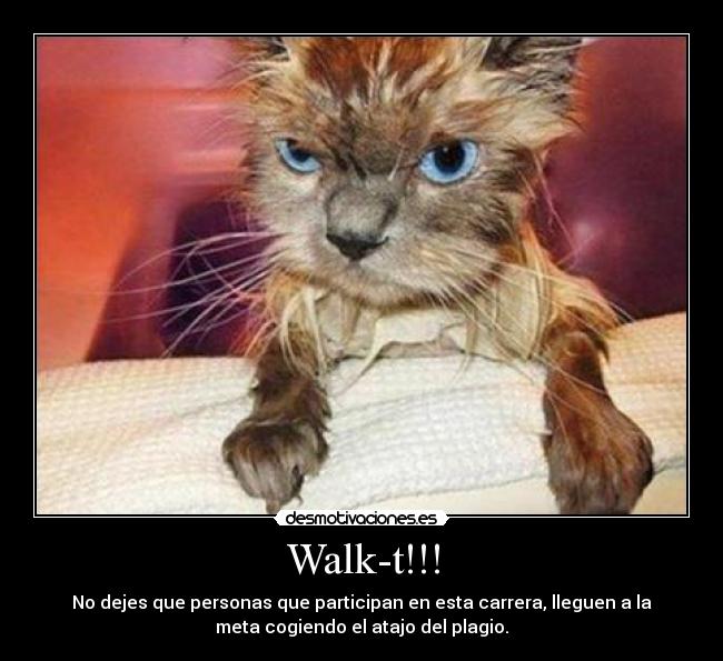 Walk-t!!! - No dejes que personas que participan en esta carrera, lleguen a la
meta cogiendo el atajo del plagio.